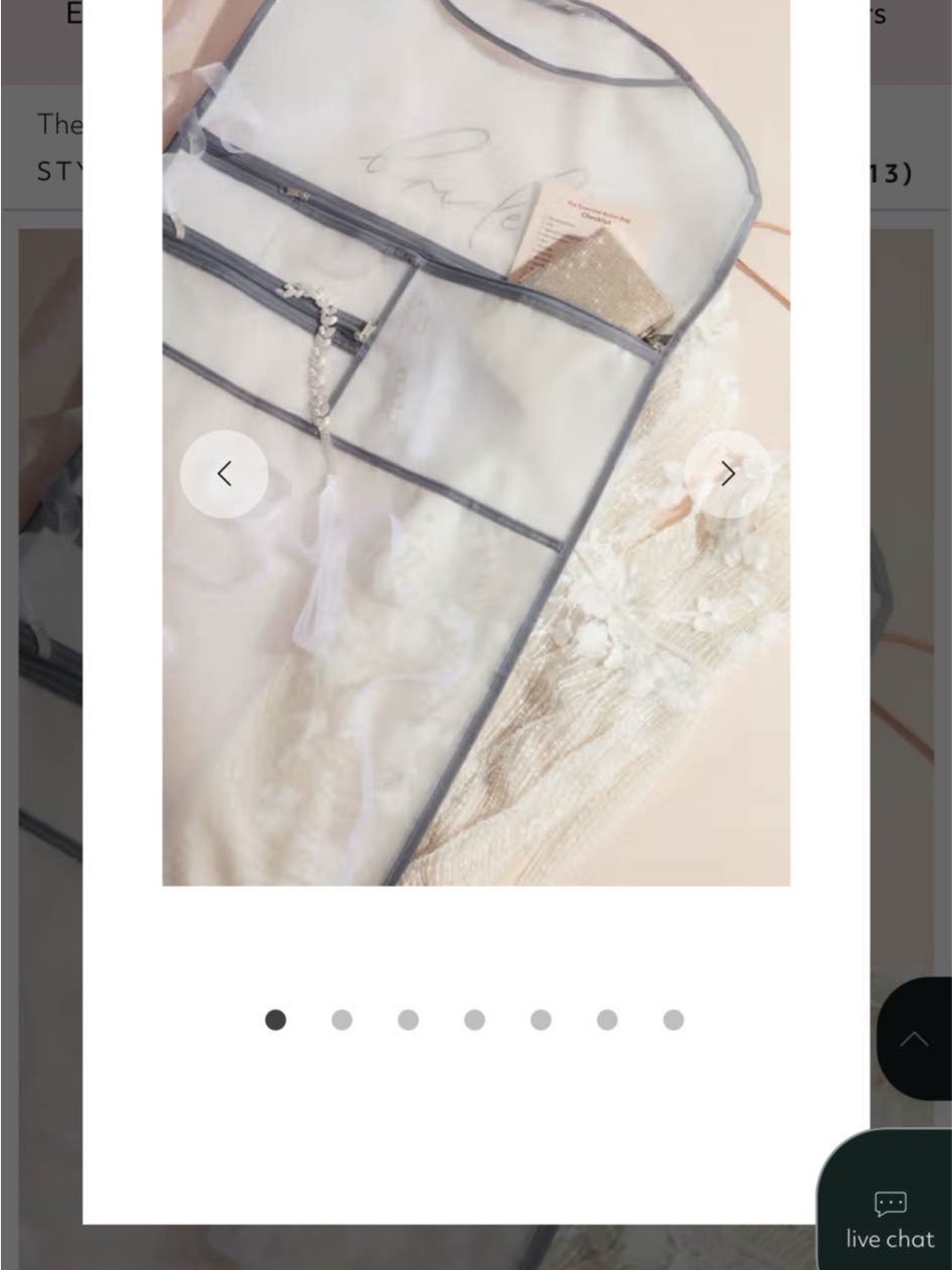 David’s Bridal BRIDE Garment Bag